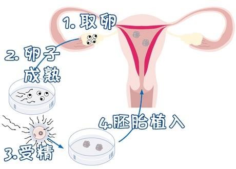 周主任